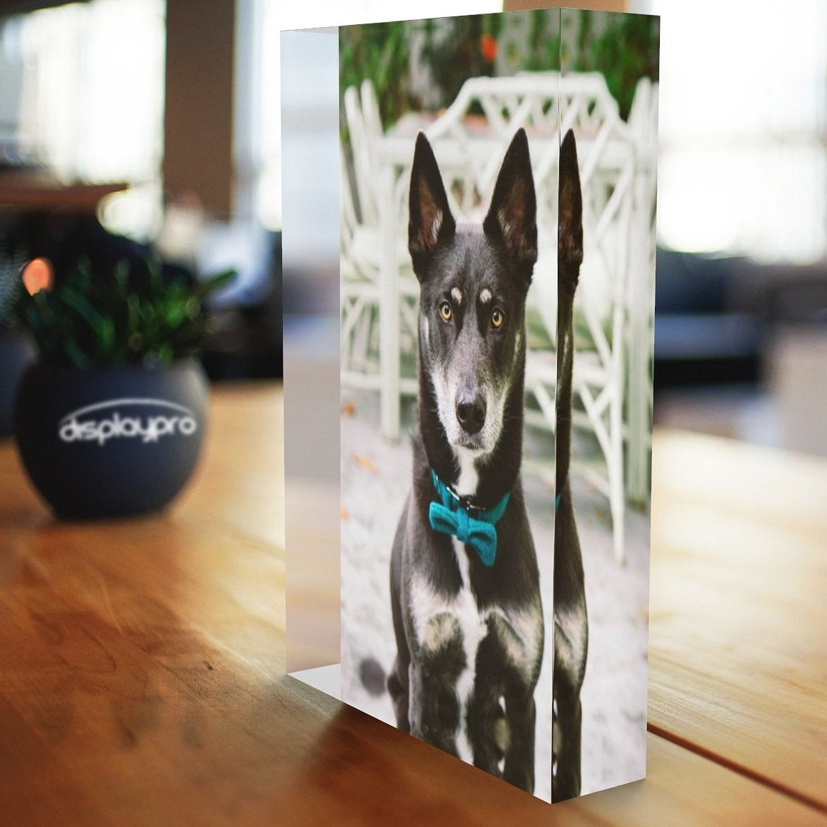 Acrylic Printed Photo Block Displaypro 2