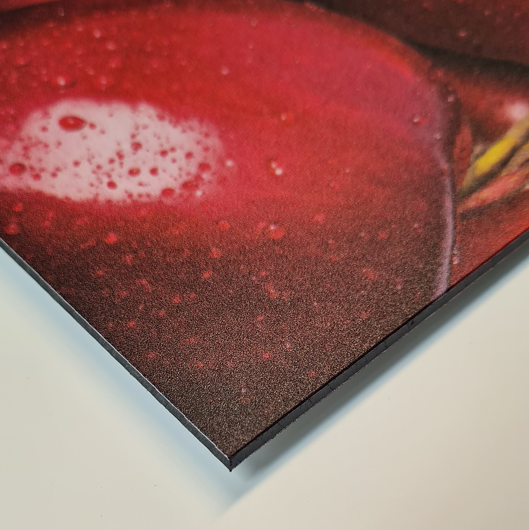 Dibond Custom Sign Printing Bespoke Signage Displaypro UK Dibond custom sign printing bespoke signage displaypro uk