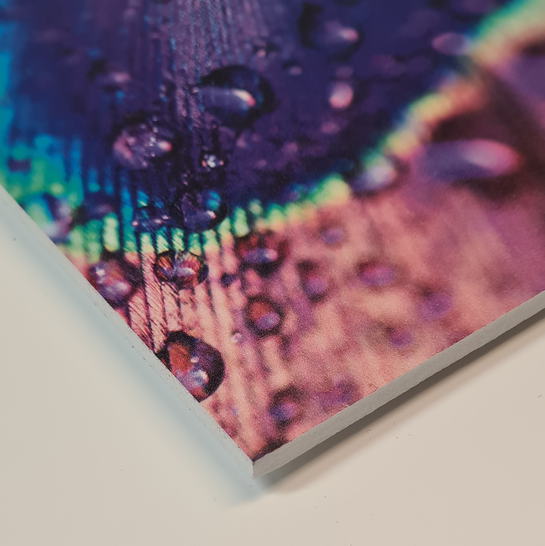 Foamex Custom Sign Printing Bespoke Signage Displaypro UK Foamex custom sign printing bespoke signage displaypro uk