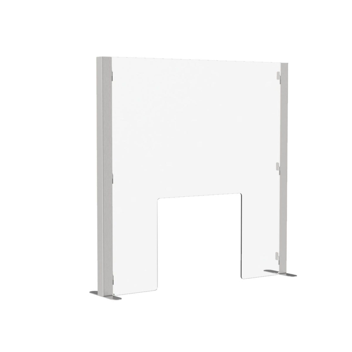 Pro Protection Screen Displaypro 2