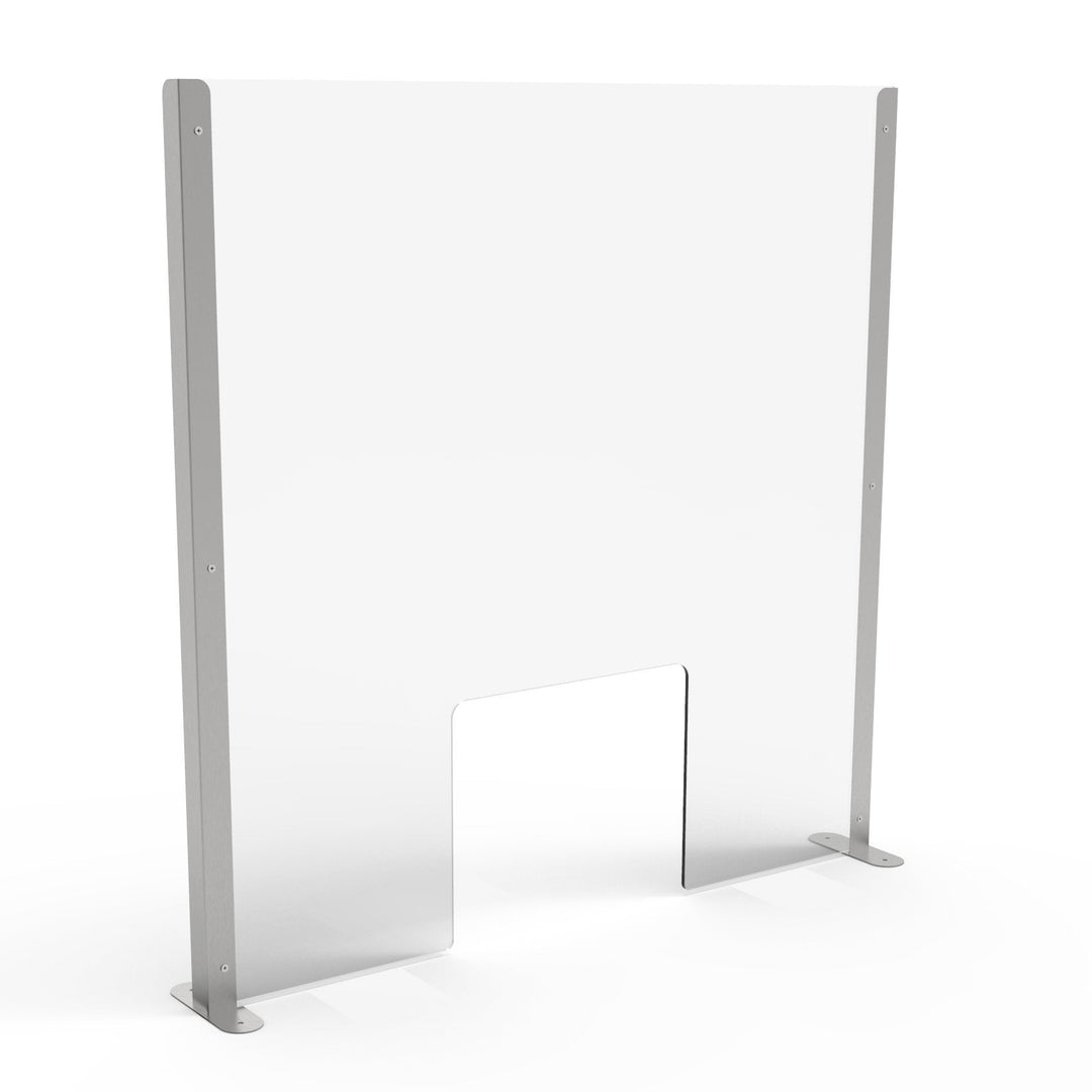 Pro Sneeze Guard Displaypro 6