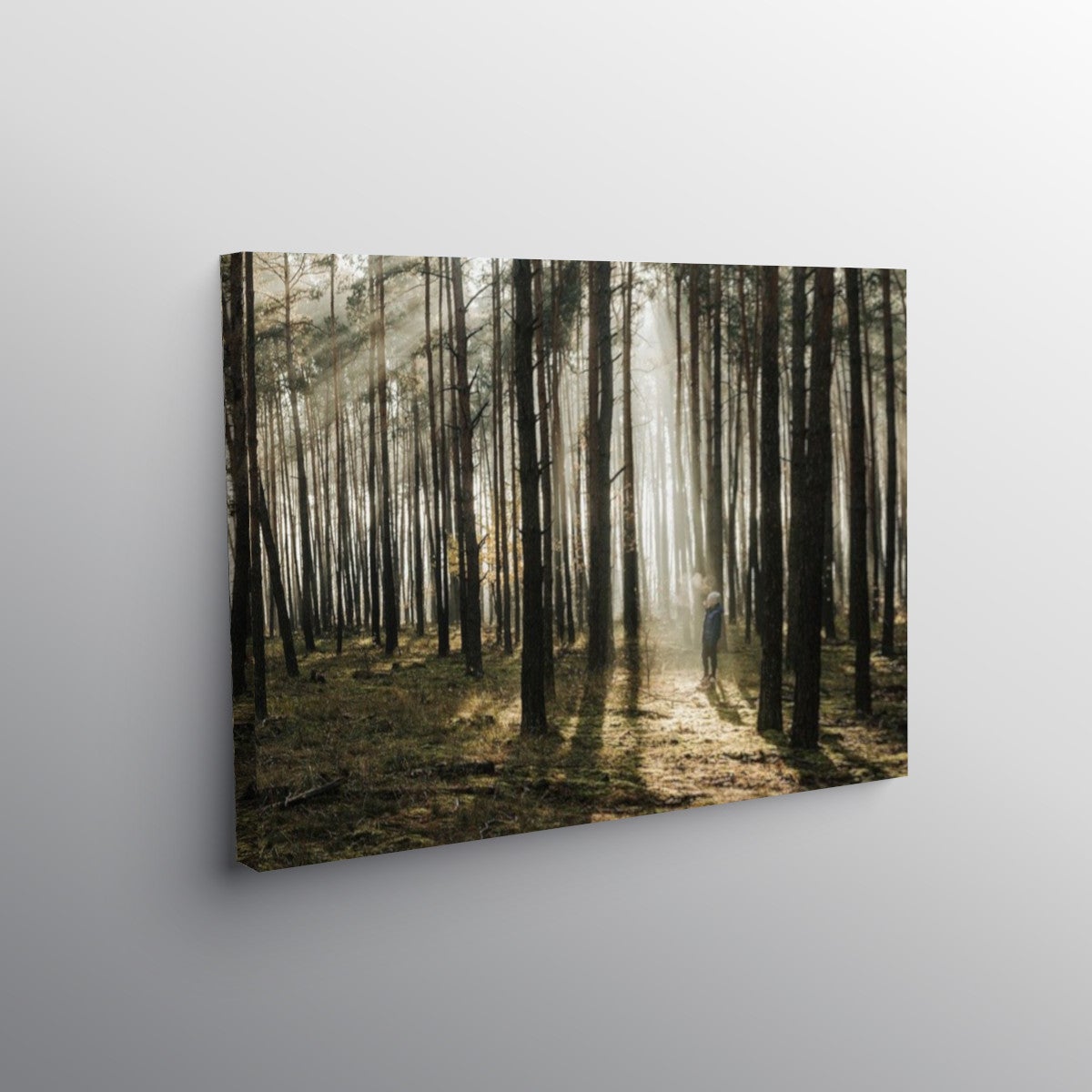 Canvas Prints Wall Art Displaypro 2