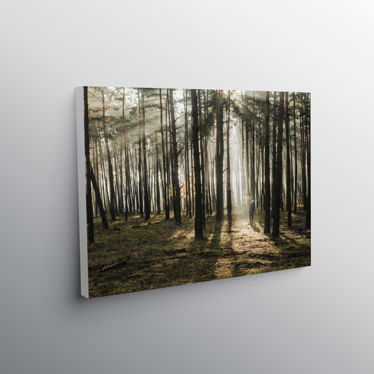 Canvas Prints Wall Art Displaypro